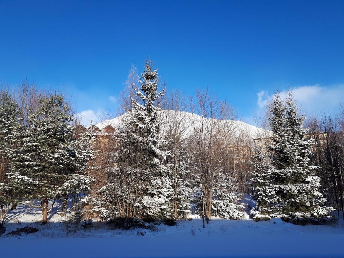 Apartman Mariana Vysoké Tatry Esterno foto